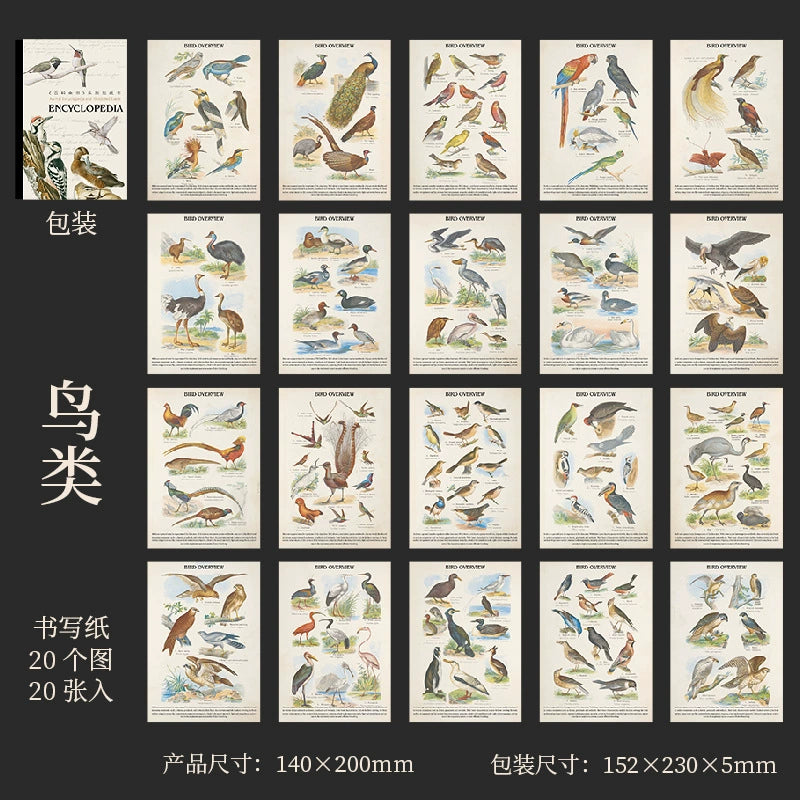 #20179 Encyclopedia Series Sticker Book