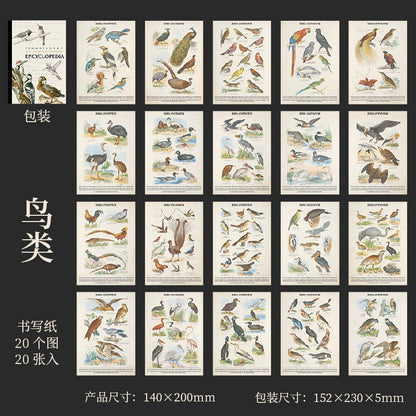 #20179 Encyclopedia Series Sticker Book