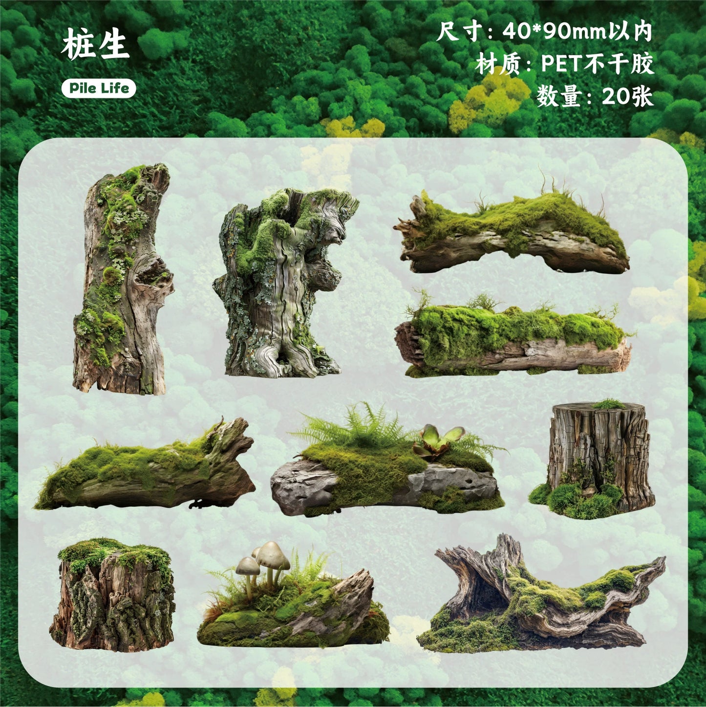 #20445 Moss Series Sticker