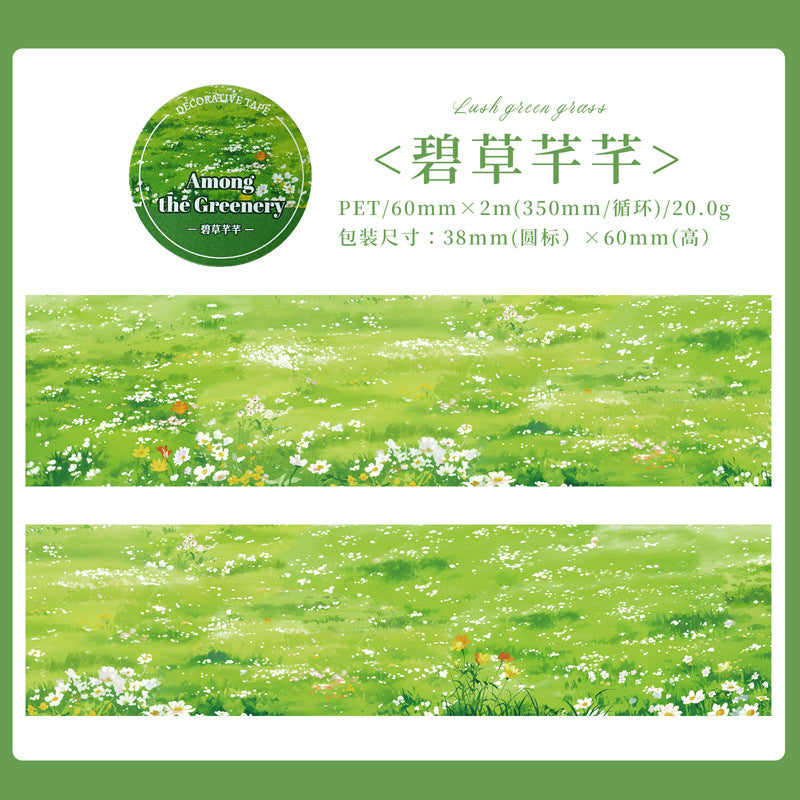 c3#30141 Regular Tape