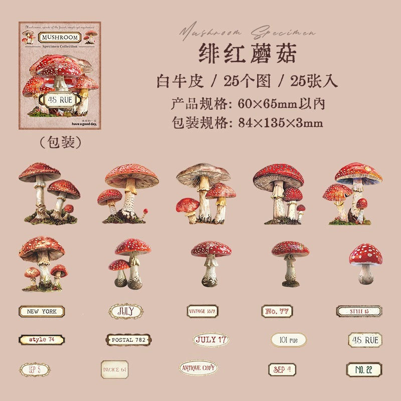 D5#20223 Mushroom Collection Series Sticker