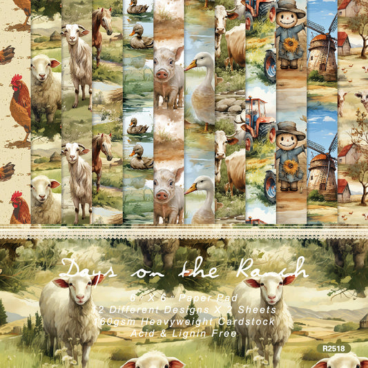 BF#2 6"*6" Square Paper