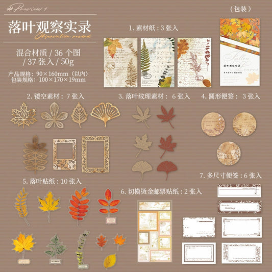 #20089 Autumn Leaves Series Sticker/Paper Pack