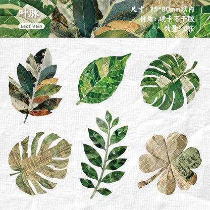 #20535 Nature Magazine Series Sticker