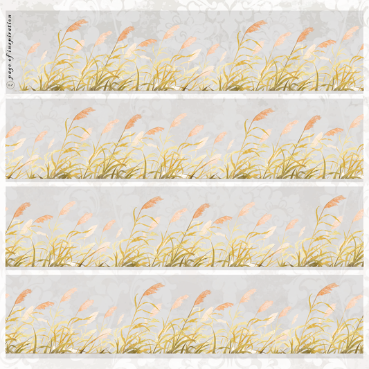 #S111 Customized PET Tape