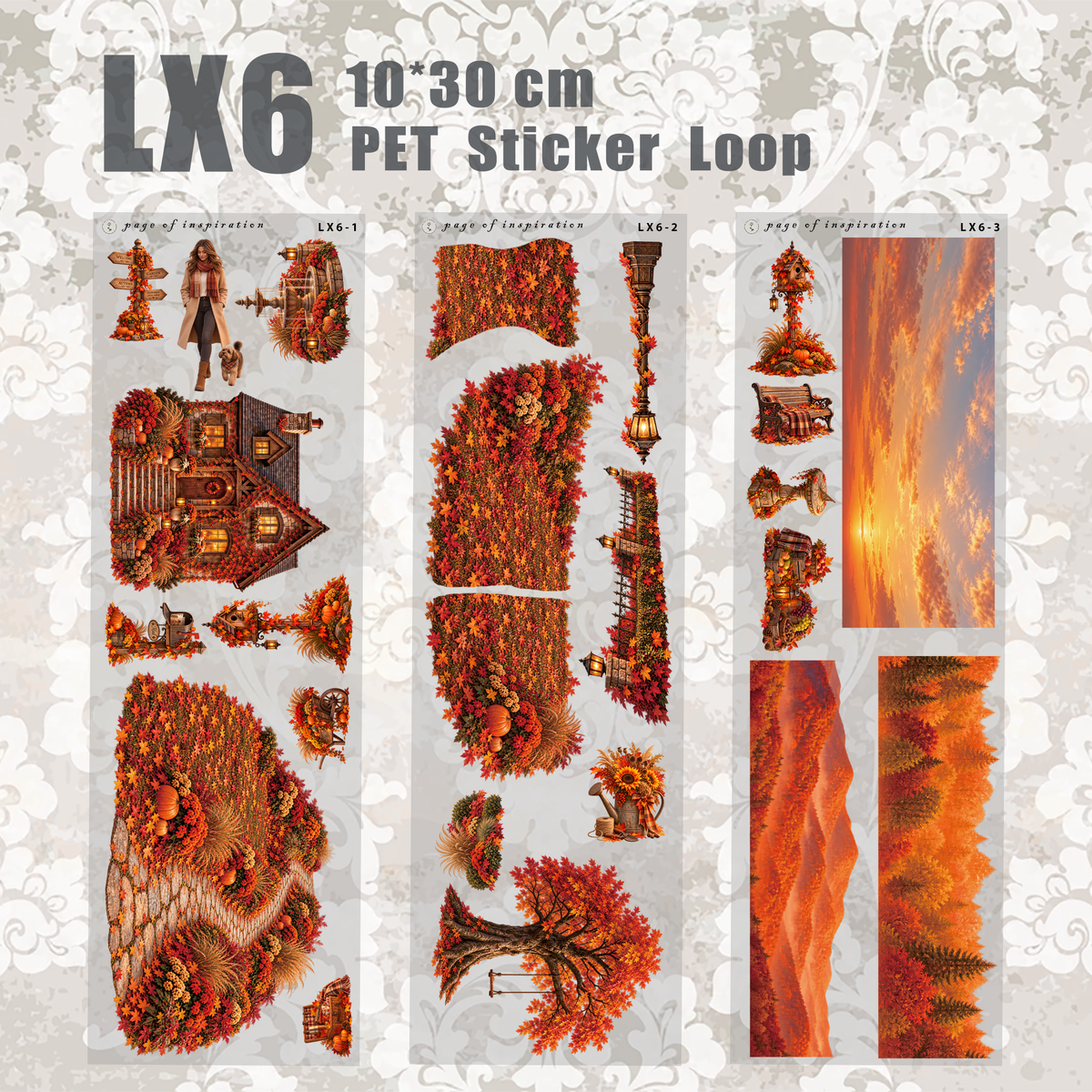 #LX6 PET Sticker Loop