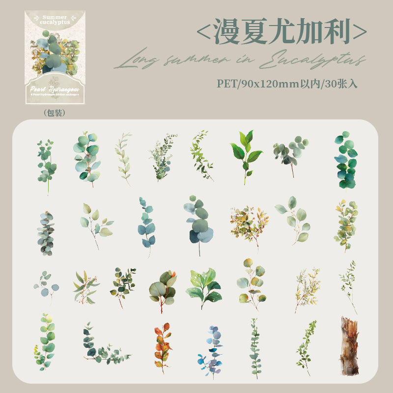 #02147  Summer Rain Forest Series Sticker