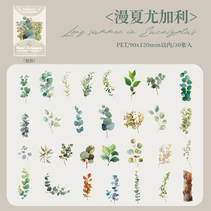 #02147  Summer Rain Forest Series Sticker