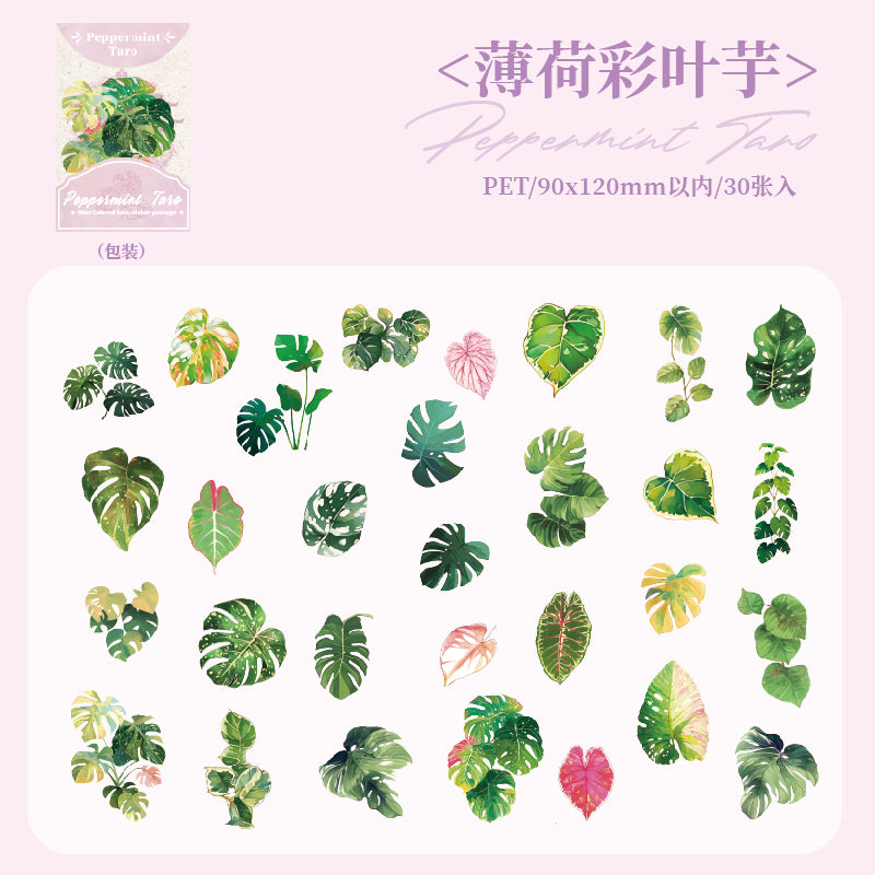 #02147  Summer Rain Forest Series Sticker