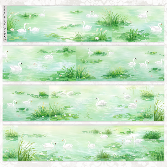 #S256 Customized PET Tape