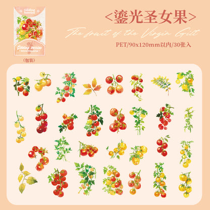 #02147  Summer Rain Forest Series Sticker